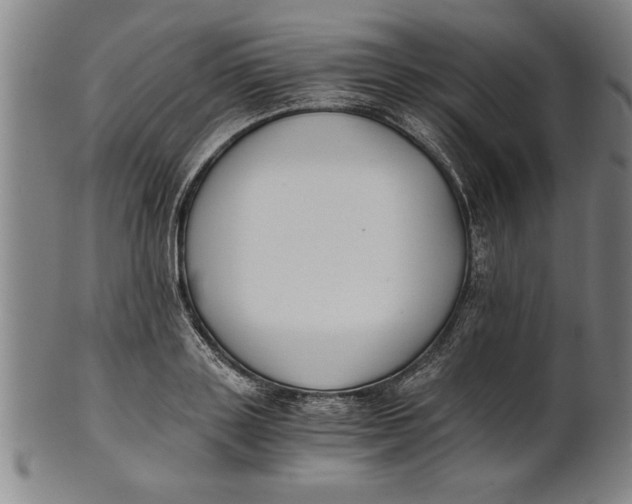 X0000101950843200808081504