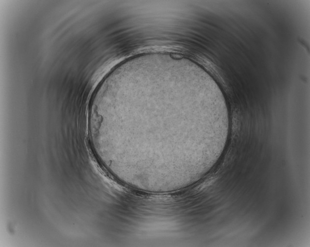 X0000101950844200808081504