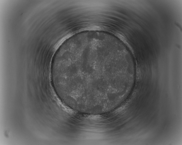 X0000101950845200808081504
