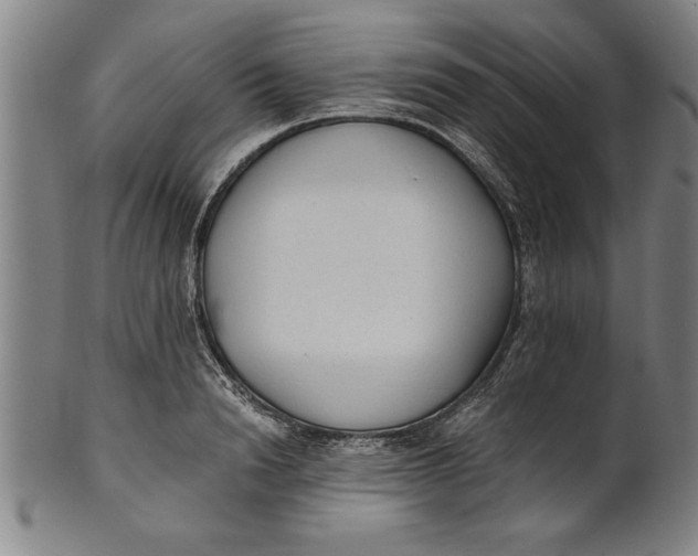 X0000101950846200808081504
