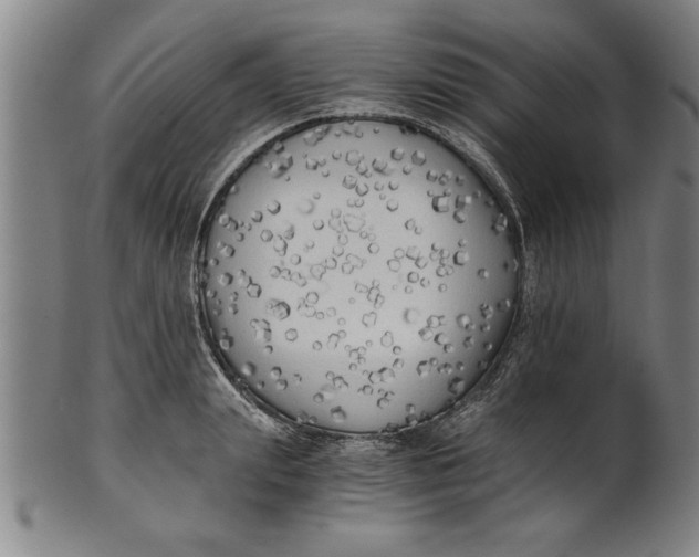 X0000101950847200808081504