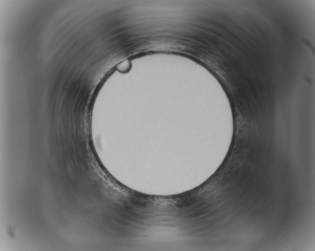 X0000101950848200808081504