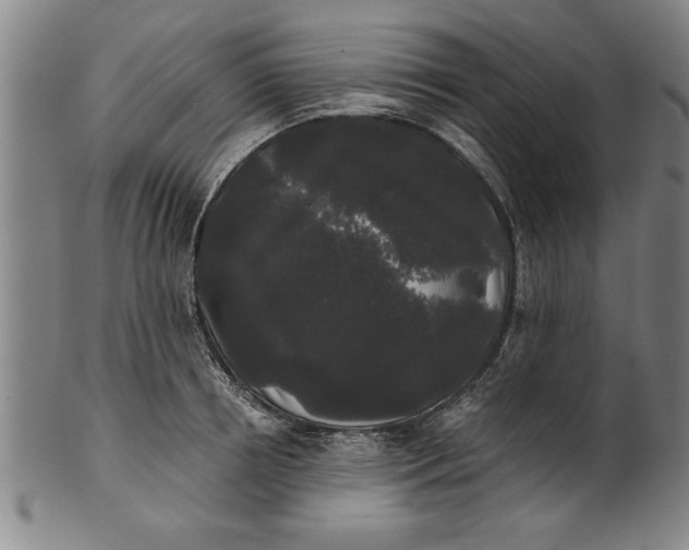 X0000101950850200808081504
