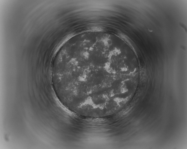 X0000101950851200808081504