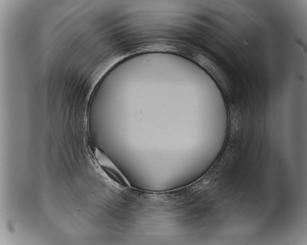 X0000101950852200808081504