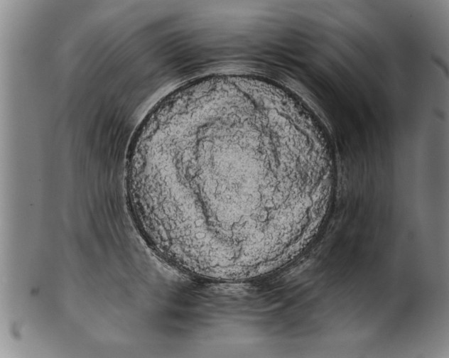X0000101950853200808081504