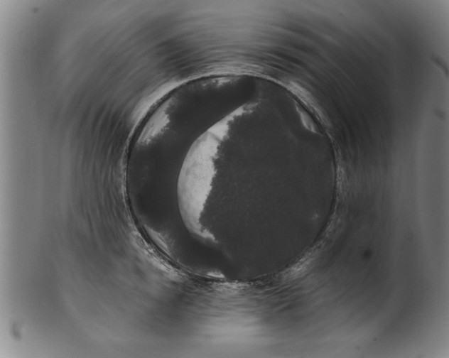 X0000101950854200808081504