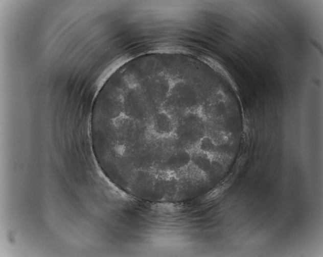 X0000101950855200808081504