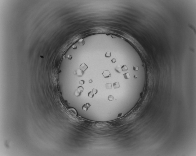 X0000101950857200808081504