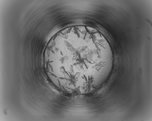 X0000101950858200808081504
