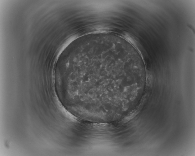 X0000101950859200808081504