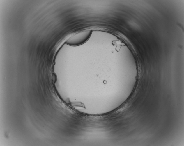 X0000101950860200808081504