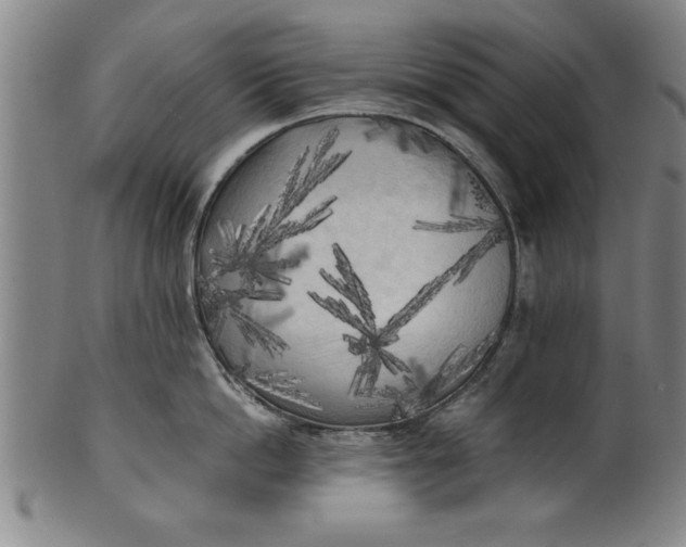 X0000101950862200808081504
