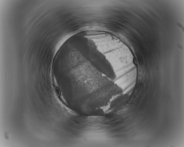 X0000101950863200808081504