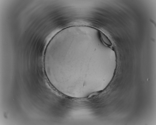 X0000101950864200808081504