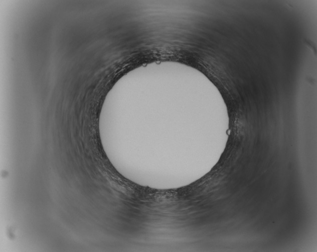 X0000101950865200808081503