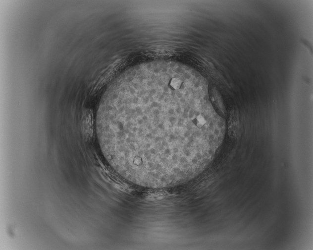 X0000101950866200808081503