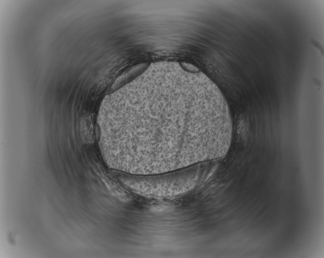 X0000101950868200808081503