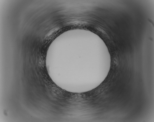 X0000101950869200808081503
