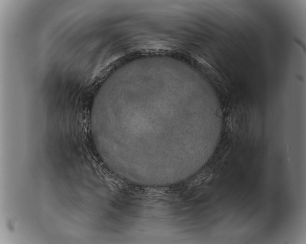 X0000101950870200808081503