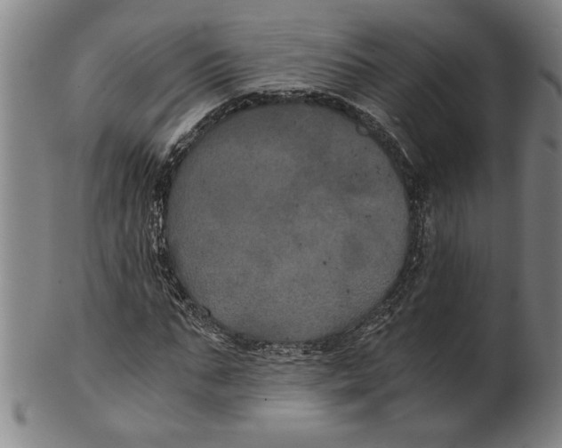 X0000101950871200808081503