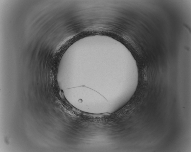X0000101950872200808081503