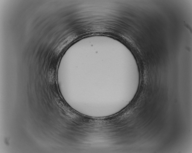 X0000101950873200808081503