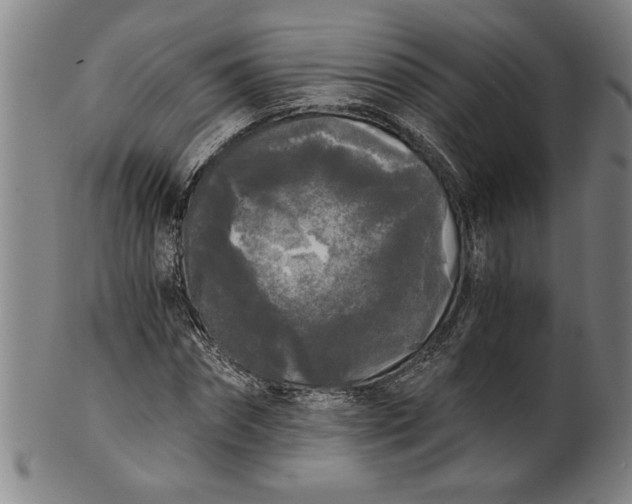 X0000101950874200808081503