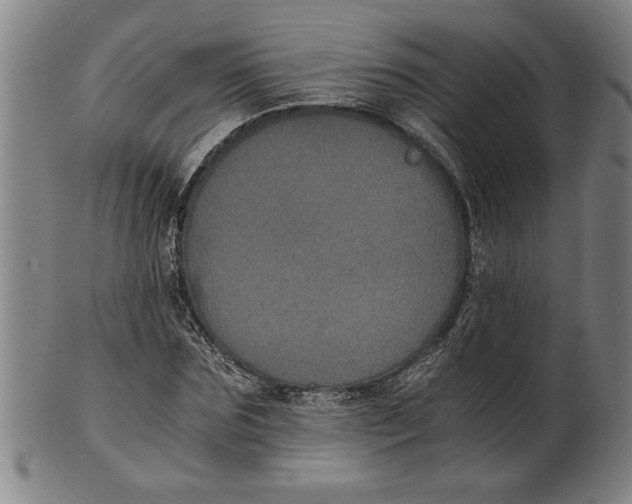 X0000101950875200808081503