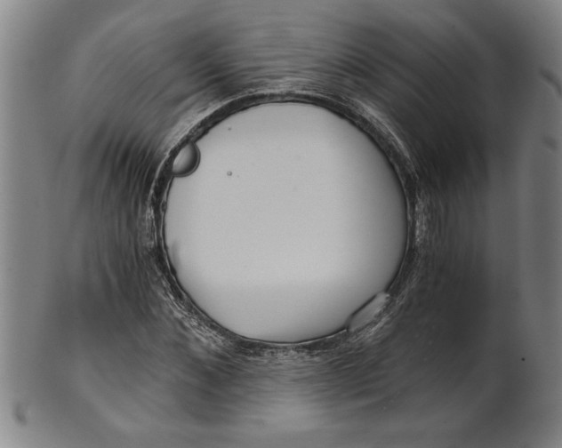 X0000101950876200808081503