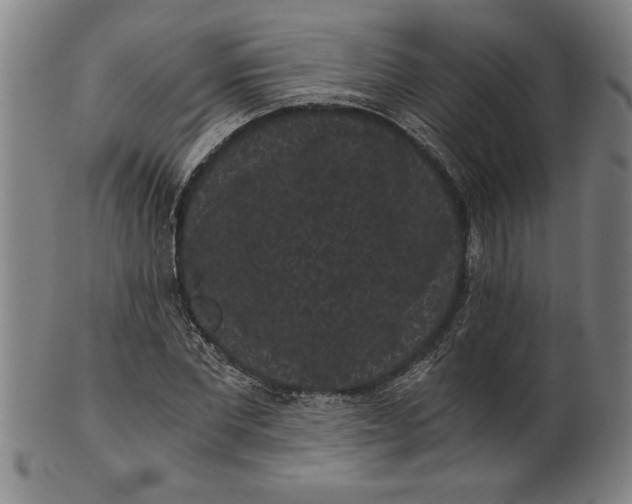 X0000101950877200808081503