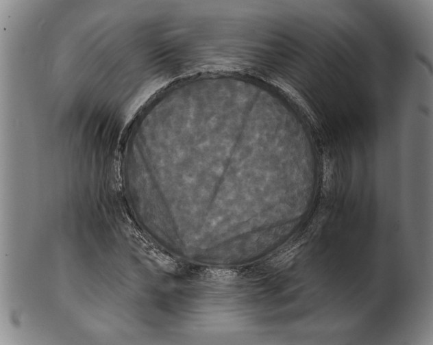 X0000101950878200808081503