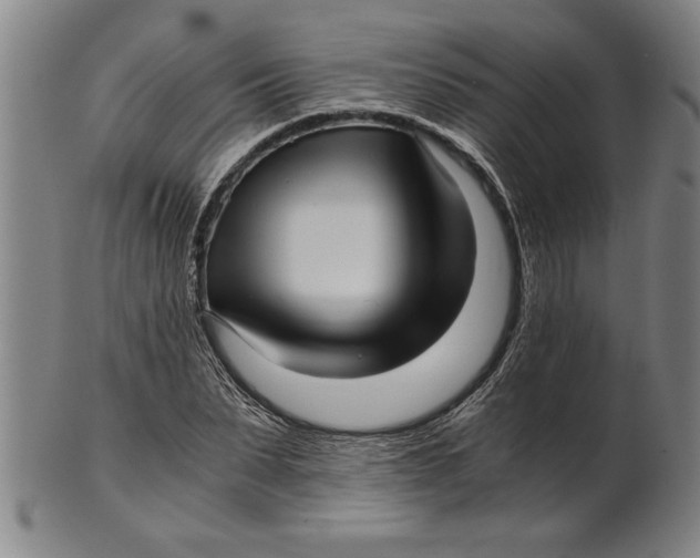 X0000101950879200808081503