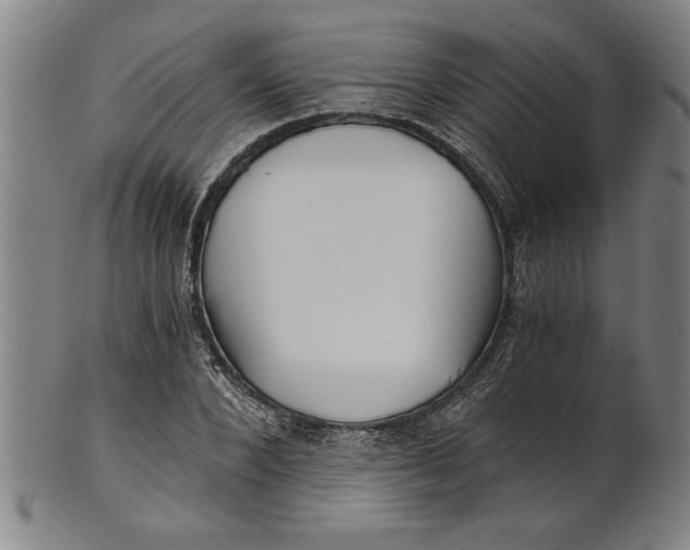 X0000101950880200808081503