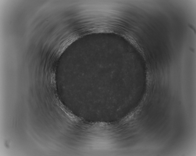 X0000101950881200808081503