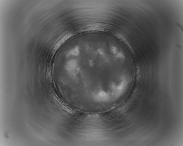 X0000101950882200808081503