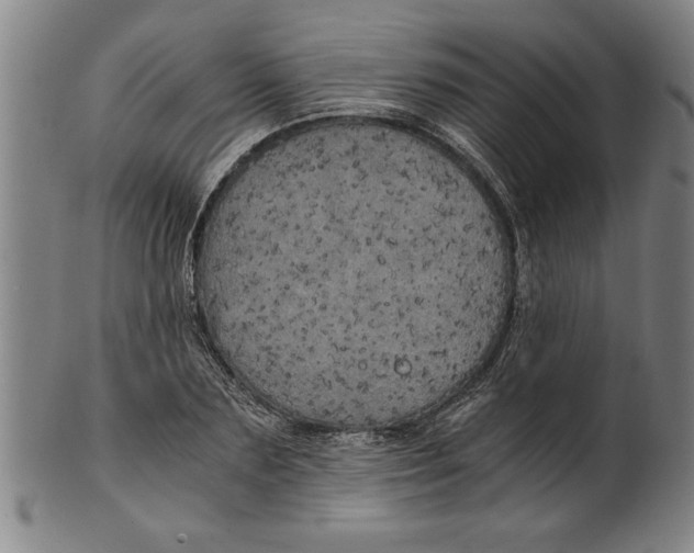 X0000101950883200808081503