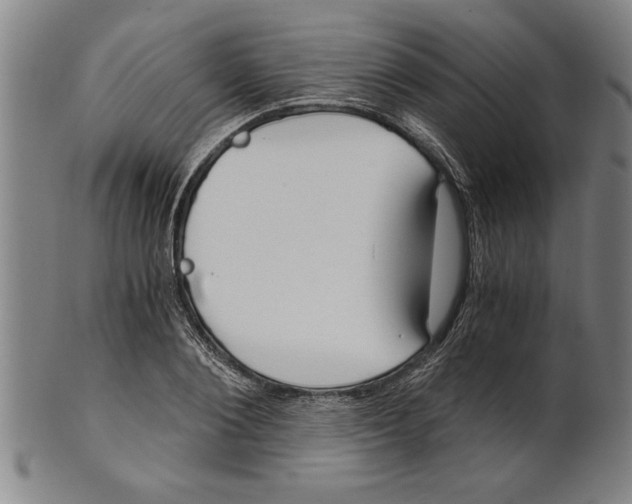 X0000101950884200808081503