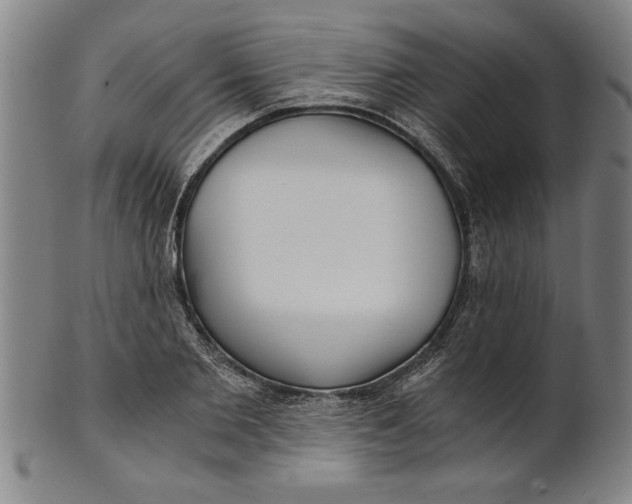 X0000101950885200808081503