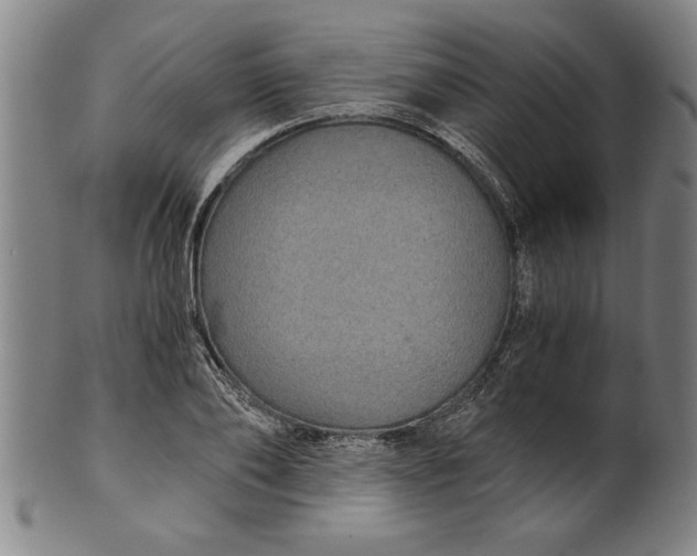 X0000101950886200808081503