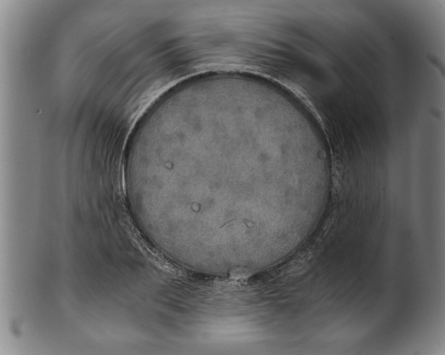 X0000101950887200808081503