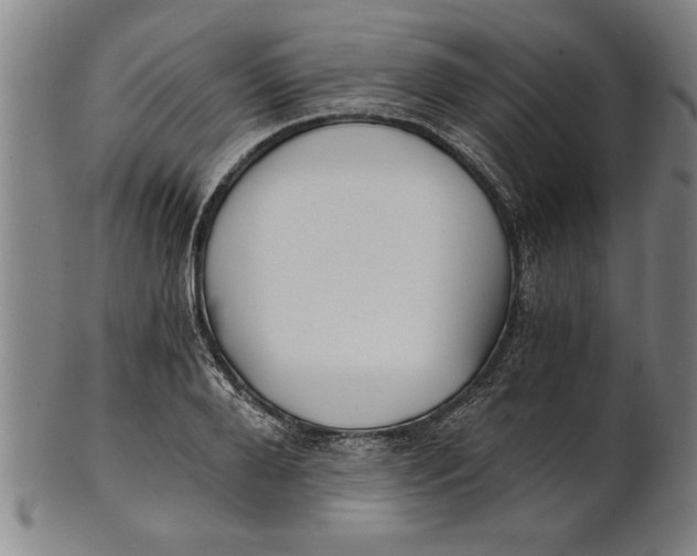 X0000101950888200808081503