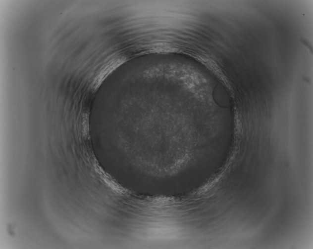 X0000101950889200808081503