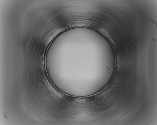 X0000101950890200808081503