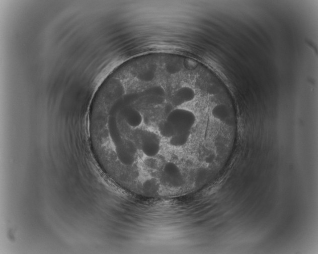 X0000101950891200808081503