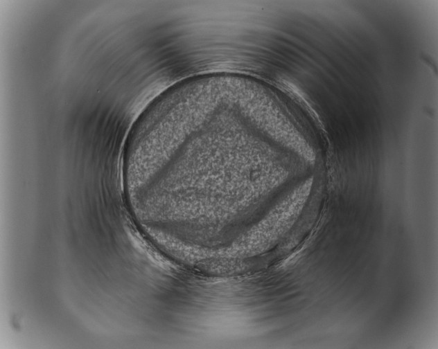 X0000101950892200808081503
