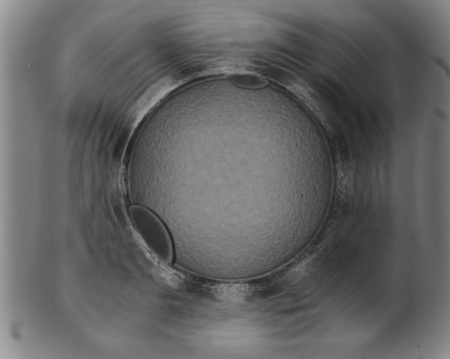 X0000101950893200808081503