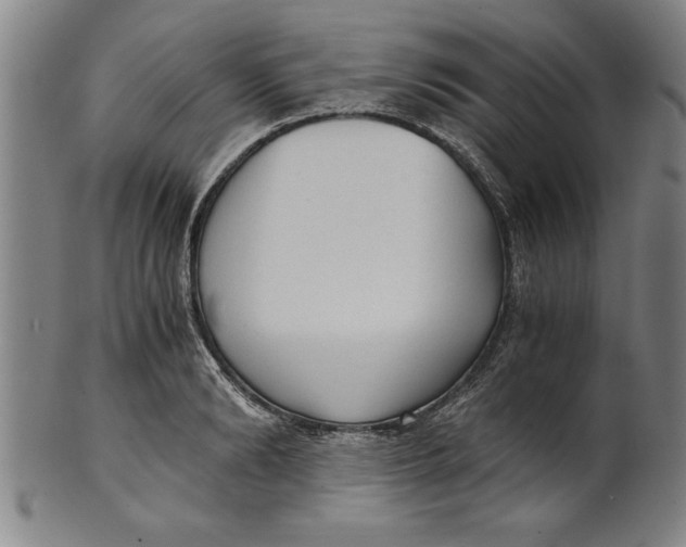 X0000101950894200808081503