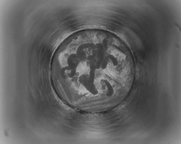 X0000101950895200808081503