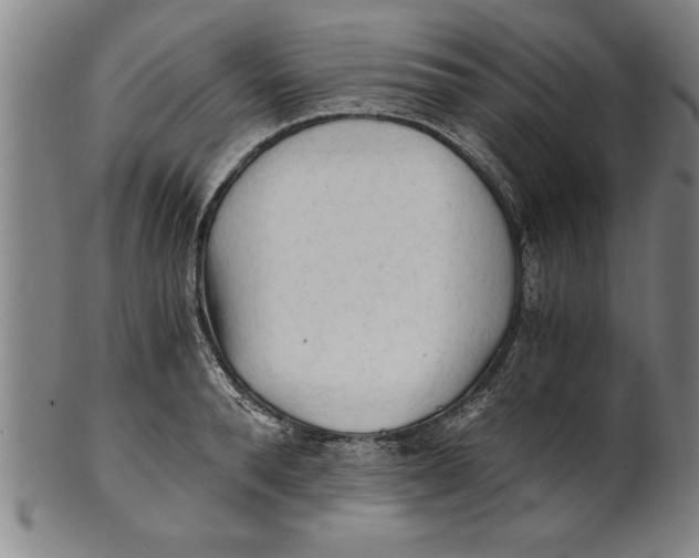 X0000101950896200808081503